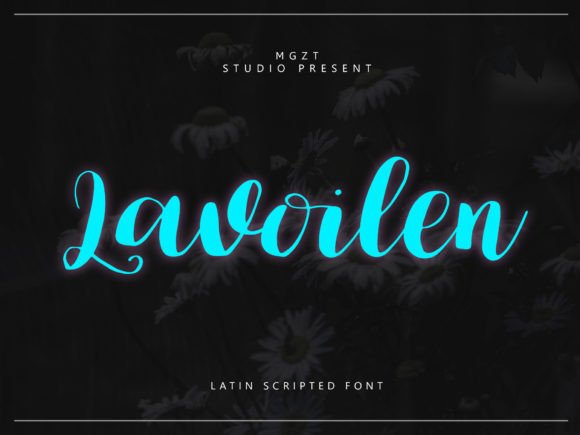 Lavoilen: A Designer’s Review for Real Projects