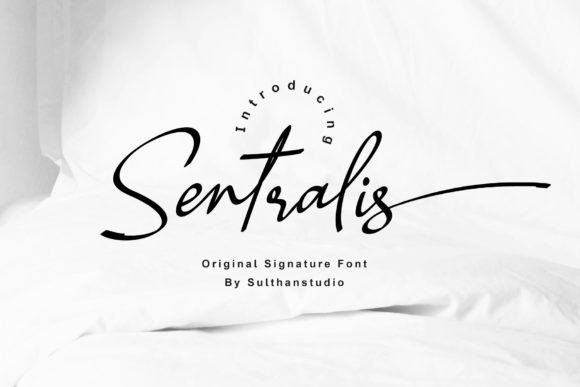 Sentralis Font: Elevating Digital Brand Identity